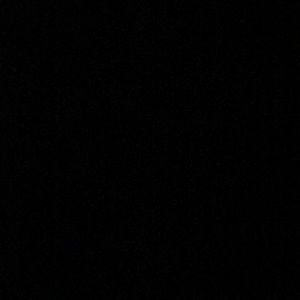 Meet your Posher, Craig